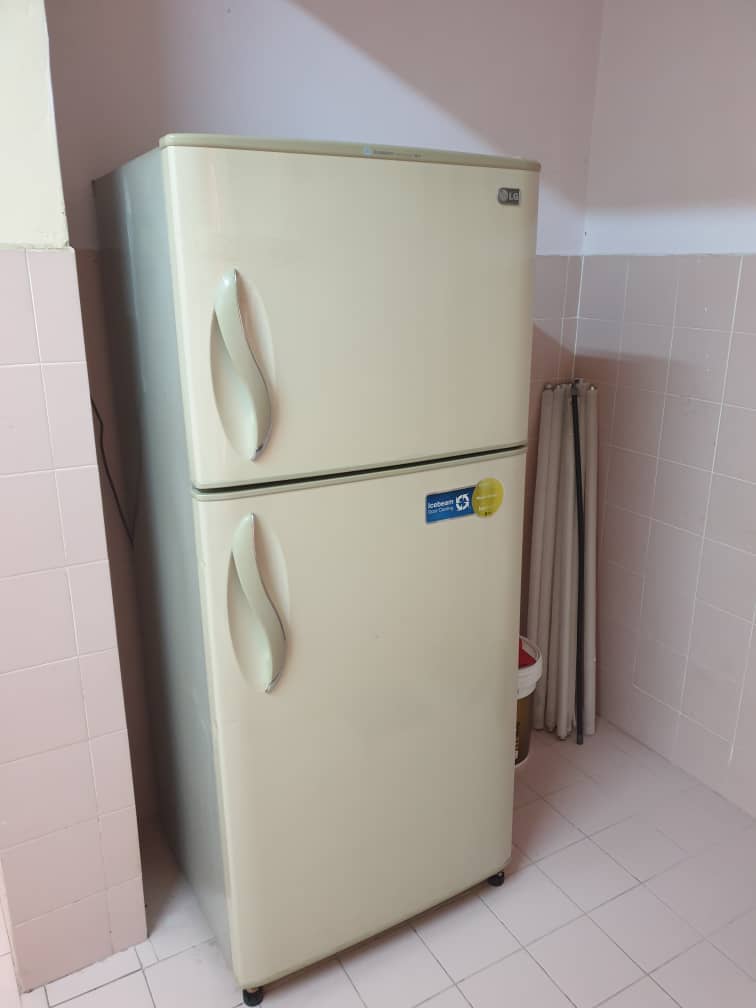 Evergreen Park Acorn and Hazel image