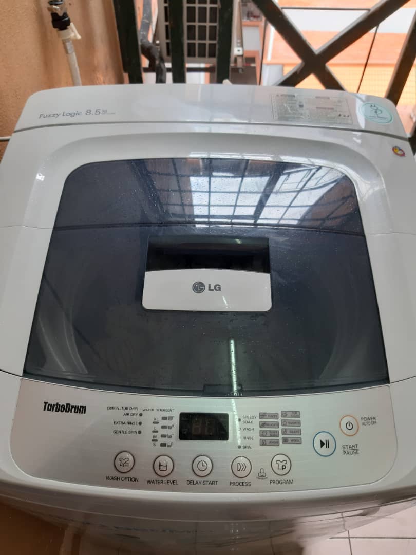 Evergreen Park Acorn and Hazel image