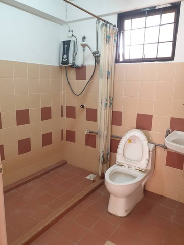 Evergreen Park Acorn and Hazel image