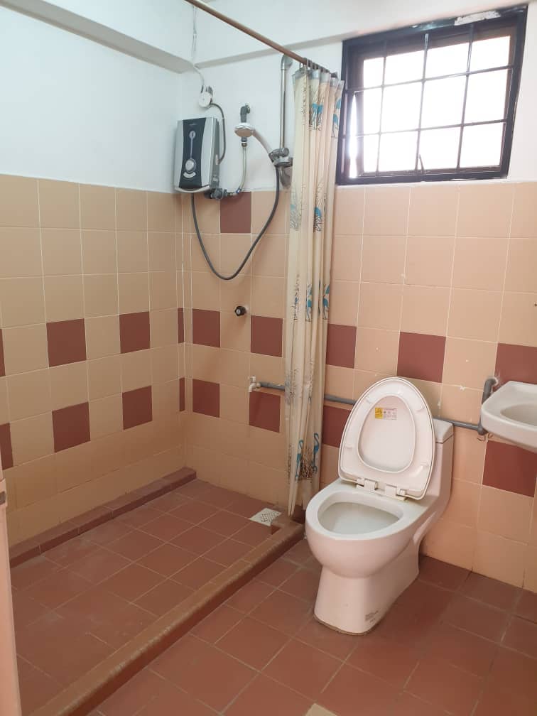 Evergreen Park Acorn and Hazel image