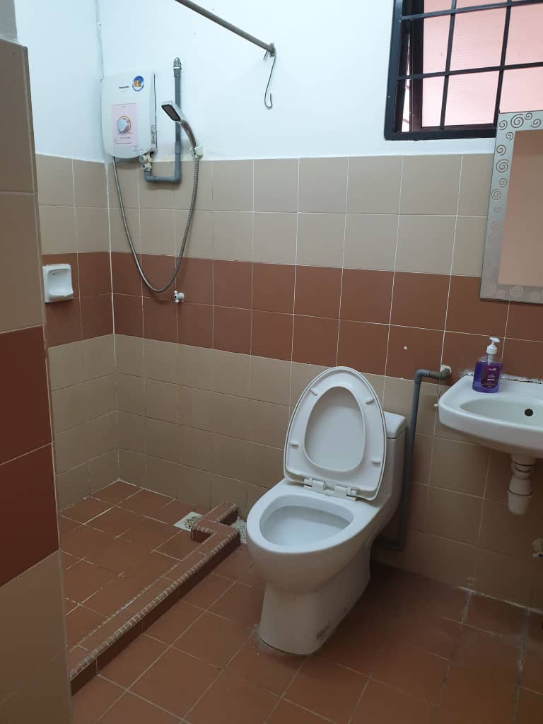 Evergreen Park Acorn and Hazel image