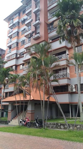 Evergreen Park Acorn and Hazel photo