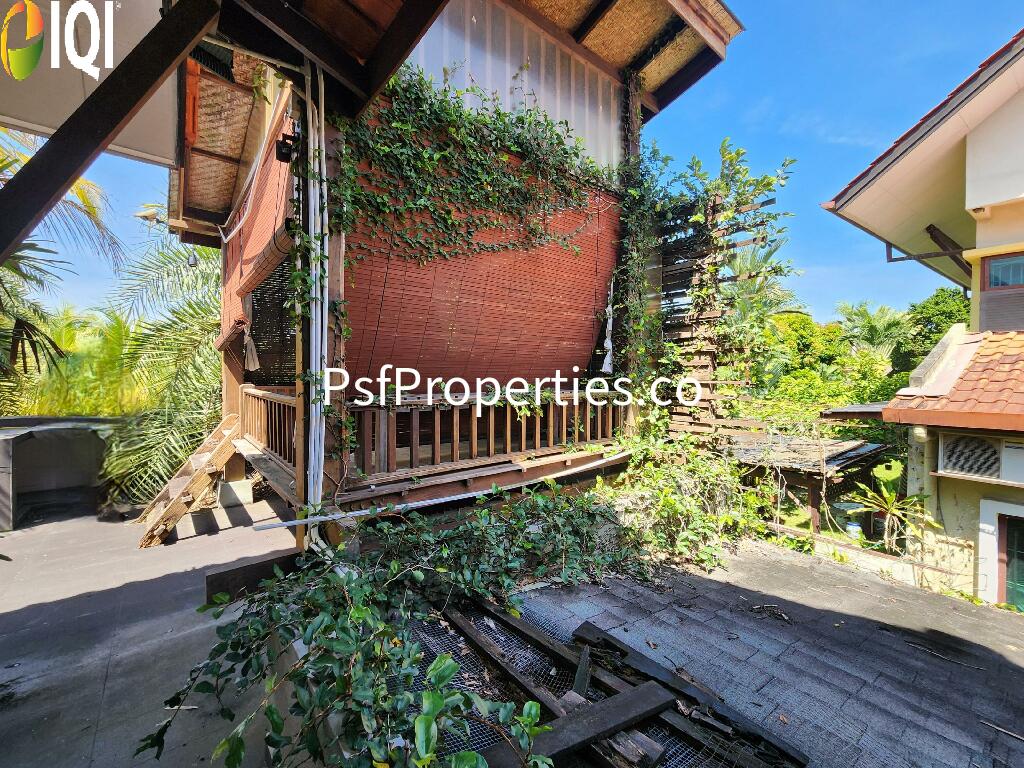 Bukit Jelutong image