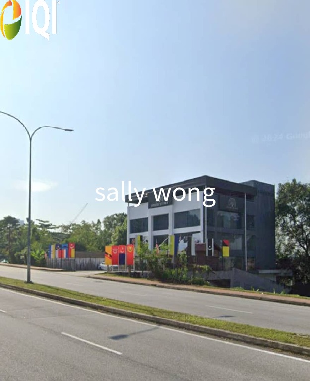 PJ Jalan Profesor Main Road Frontage Land For Sale image