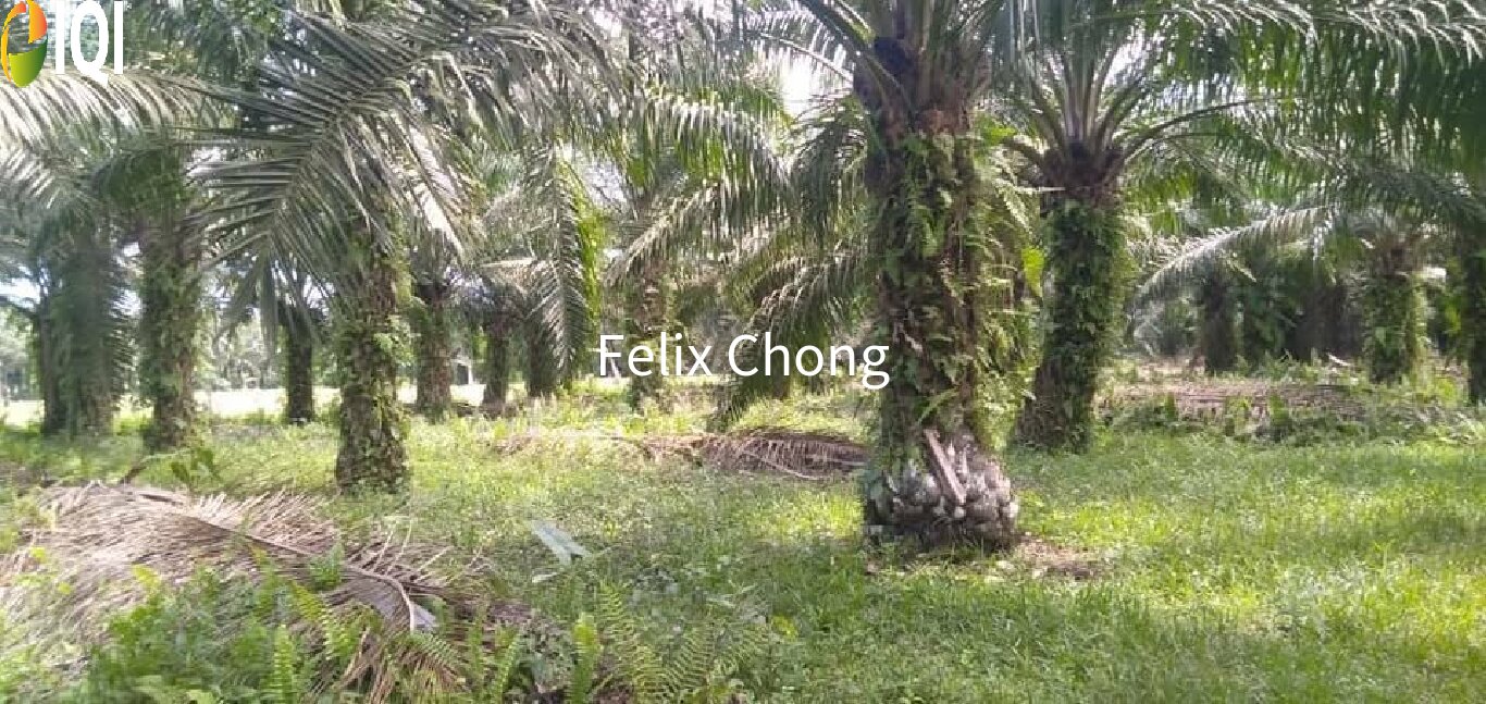 Melaka Agriculture Land,Ayer Keroh,Gadek,Alor Gajah image