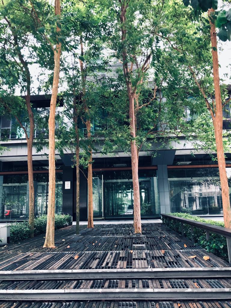 D7 @ Sentul East image