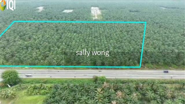 Olak Lempit , Bukit Changgang, Kota Warisan, Sepang, Dengkil image