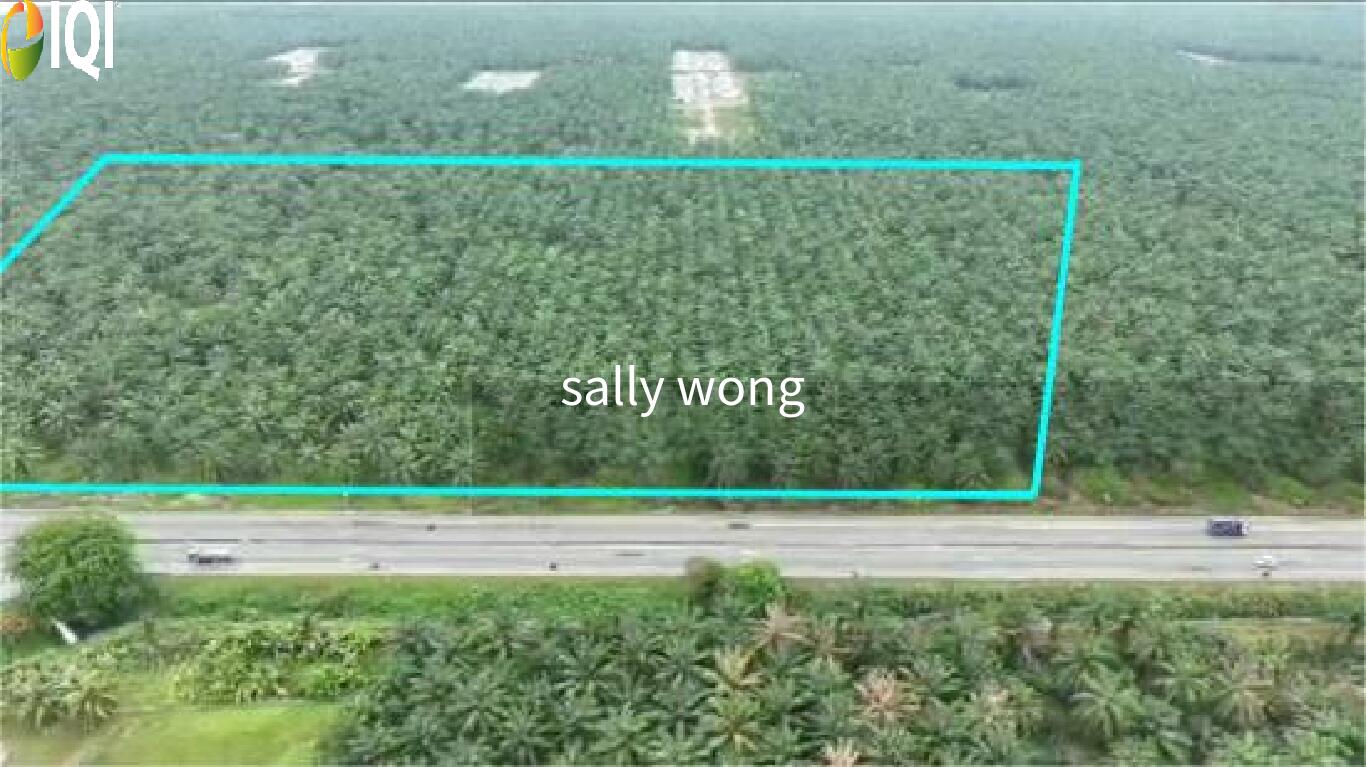 Olak Lempit , Bukit Changgang, Kota Warisan, Sepang, Dengkil image