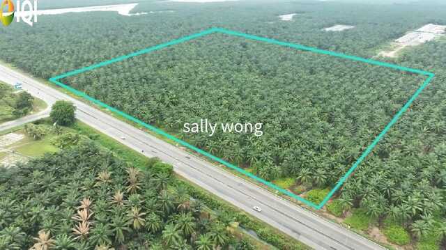 Bukit Changgang Main Road Frontage Industrial Land image