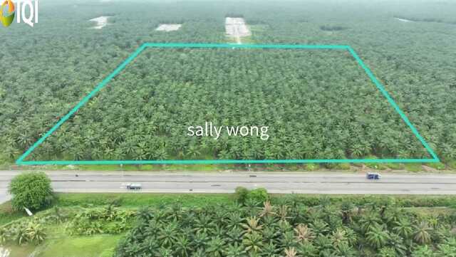 Bukit Changgang Main Road Frontage Industrial Land image