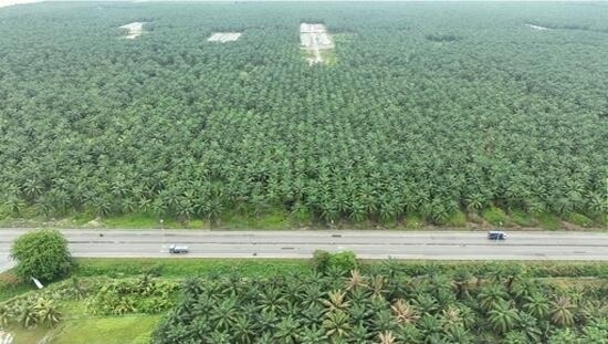 (Bumi-Lot) Bukit Changgang, Tanjong Dua Belas, Banting