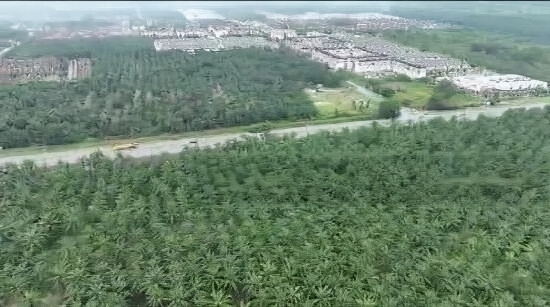 (Bumi-Lot) Bukit Changgang, Tanjong Dua Belas, Banting image