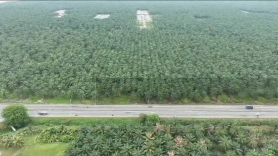 (Bumi-Lot) Bukit Changgang, Tanjong Dua Belas, Banting image