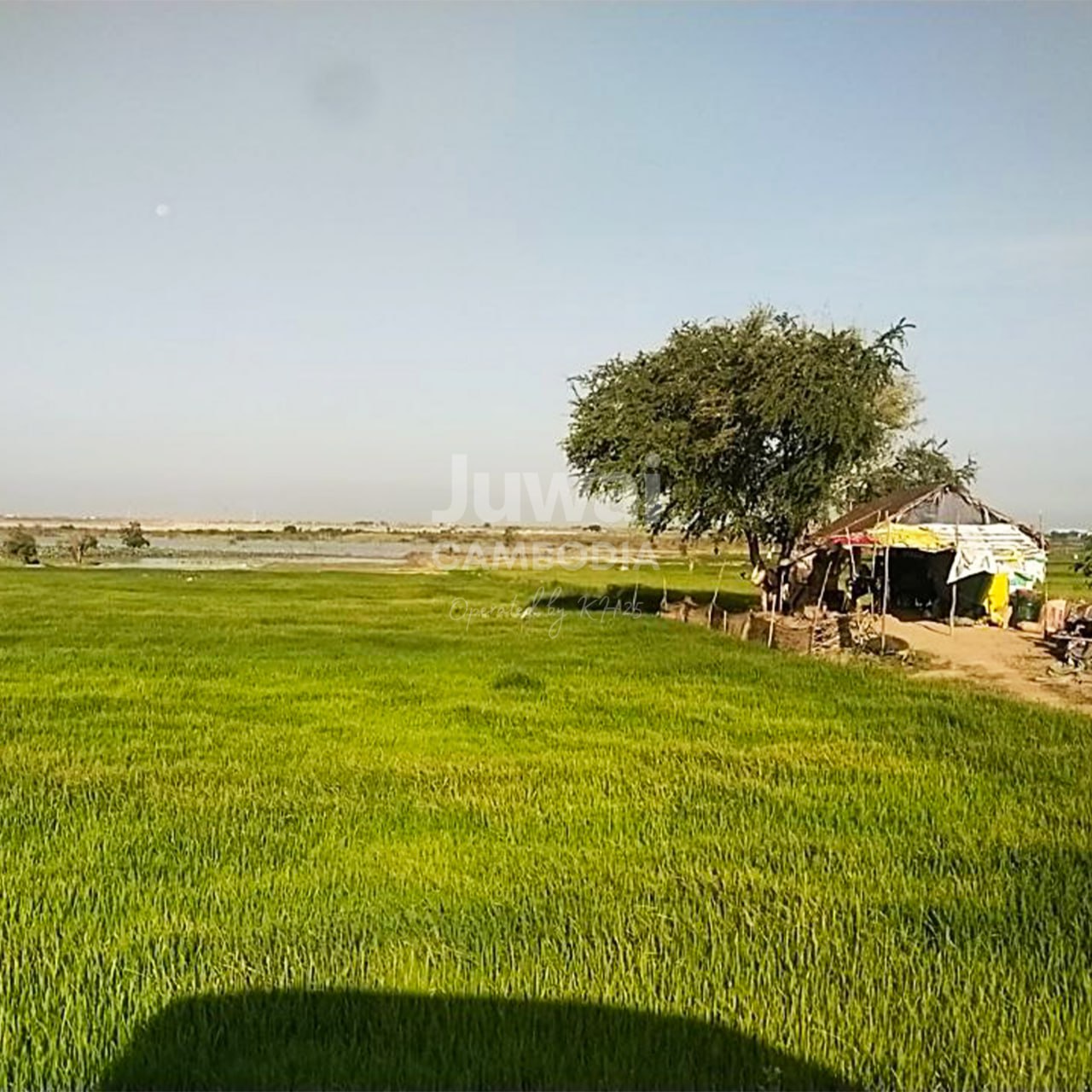Land for Sale  image