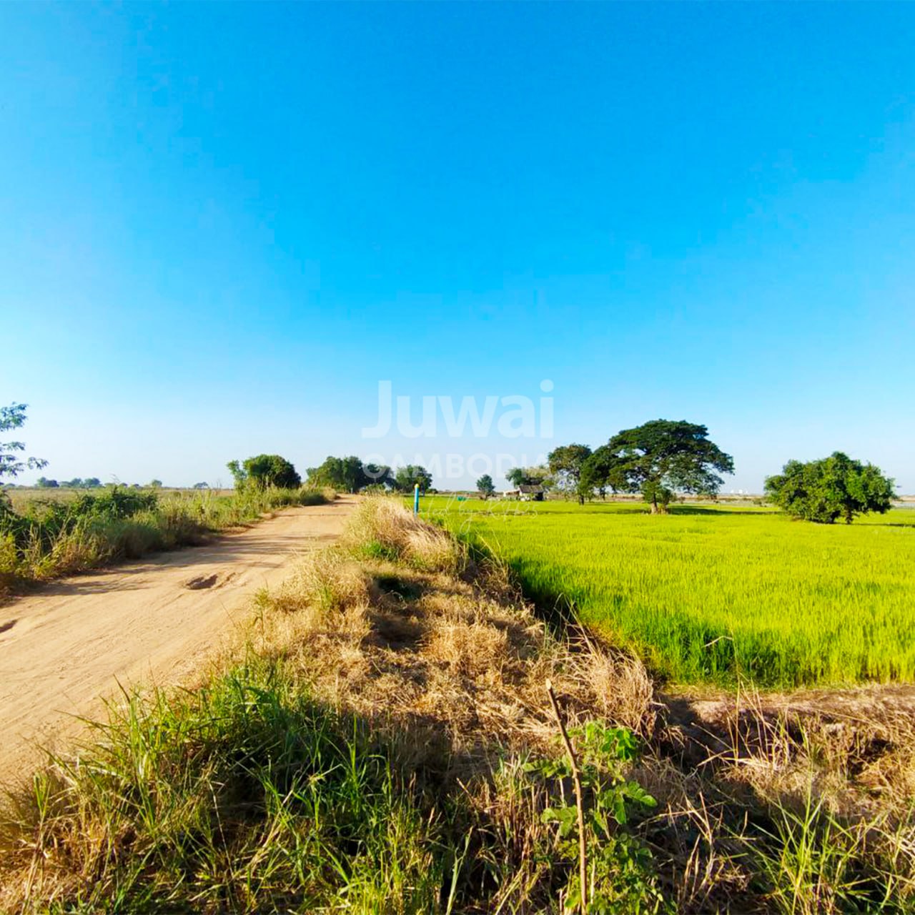 Land for Sale  image