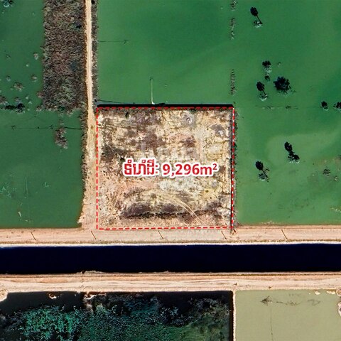 Land for Sale  photo