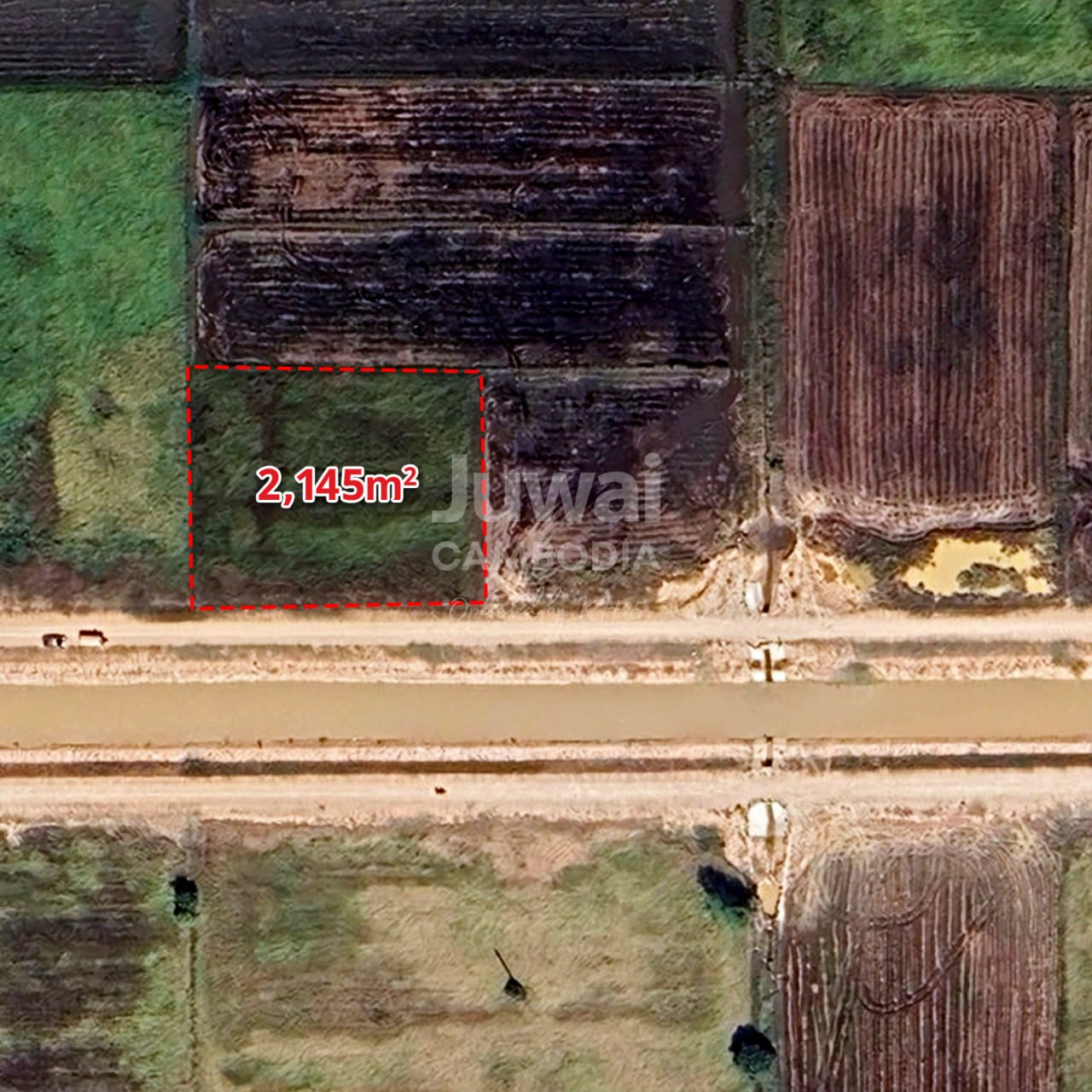 Land for Sale  image