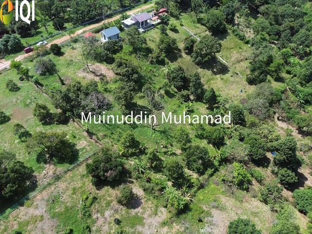 Tanah Dusun Trolak di Mukim Sungkai Perak image