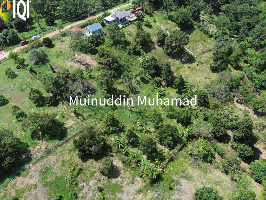 Tanah Dusun Trolak di Mukim Sungkai Perak image