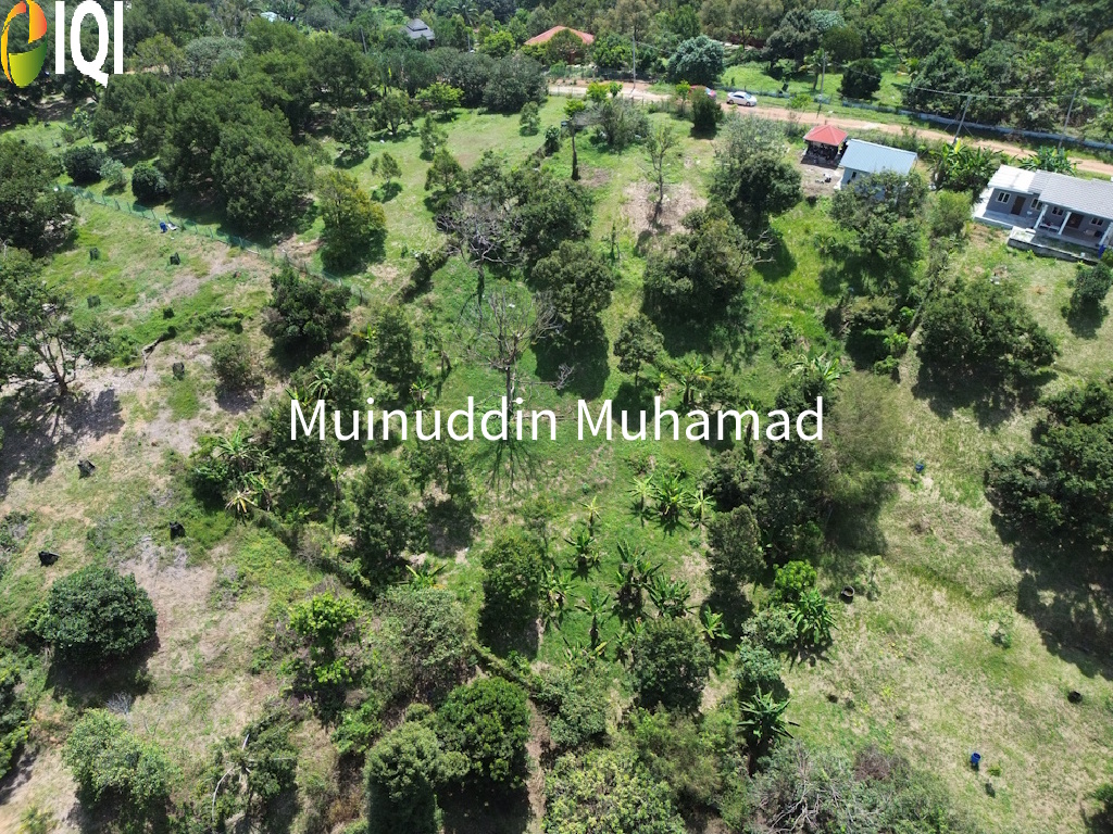 Tanah Dusun Trolak di Mukim Sungkai Perak image