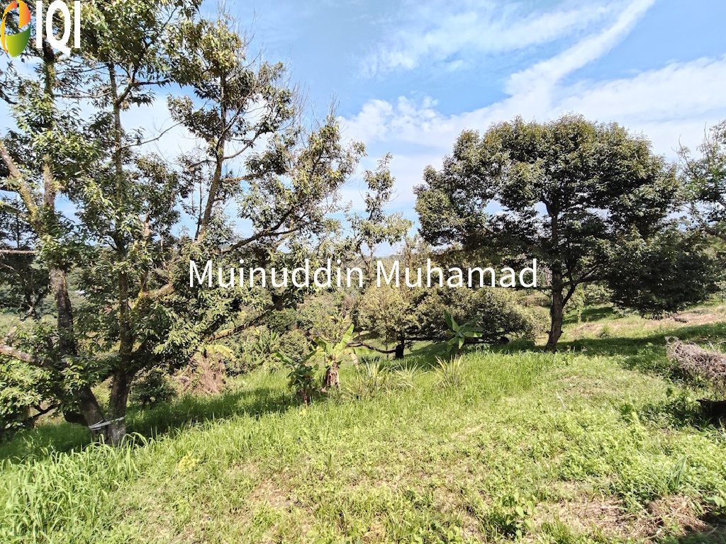 Tanah Dusun Trolak di Mukim Sungkai Perak image