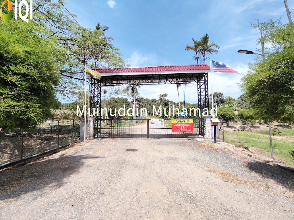 Tanah Dusun Trolak di Mukim Sungkai Perak image