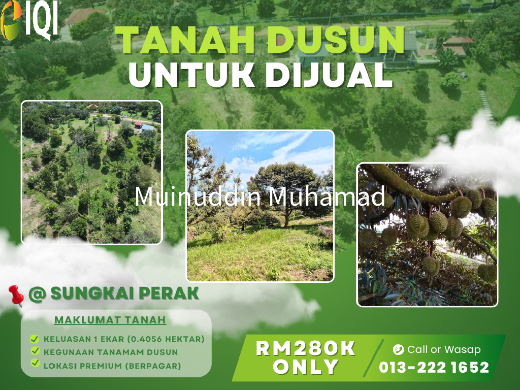 Tanah Dusun Trolak di Mukim Sungkai Perak image