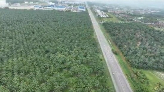 (Bumi Lot - For Bumiputera Buyer only) Bukit Changgang, Tanjong Dua Belas, Banting, Selangor image
