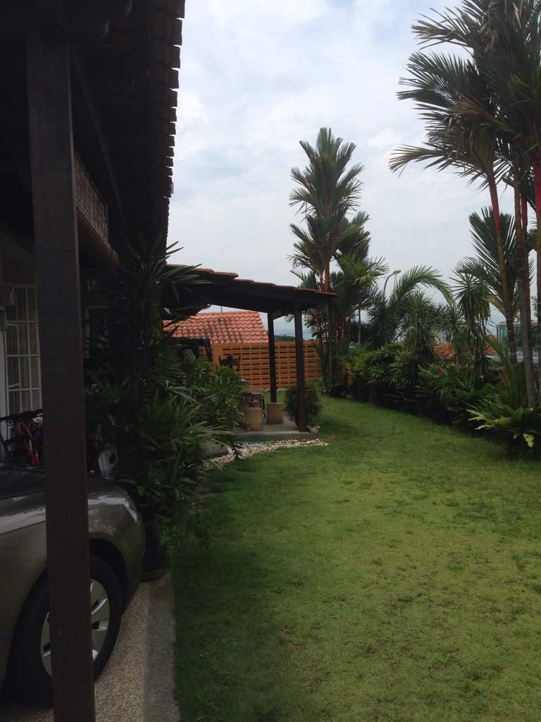 Damai Kasih image