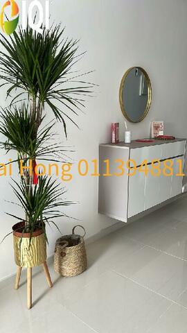Sunway Velocity 2 image