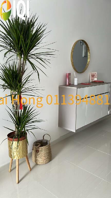 Sunway Velocity 2 image