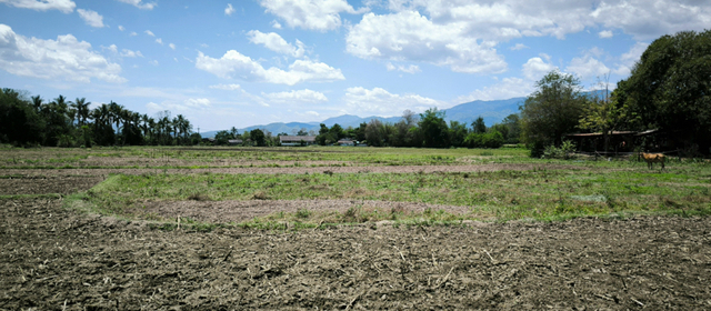 Chiang Dao Land image