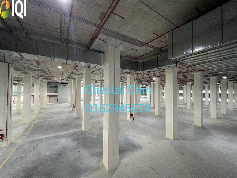 Section 33, Kota Kemuning, Shah Alam