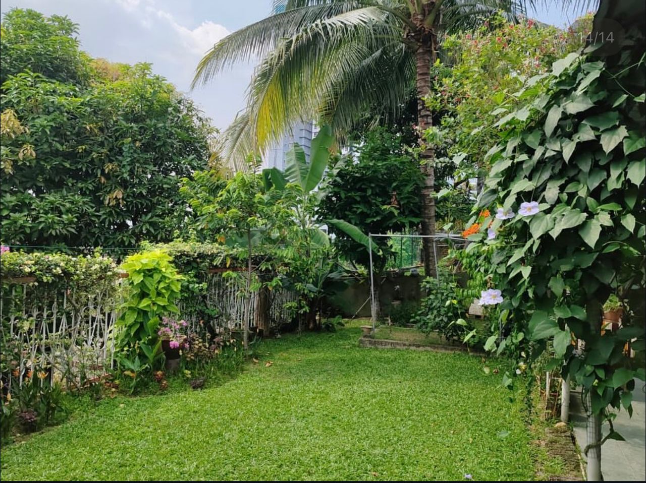 Jalan Jati Perak  image