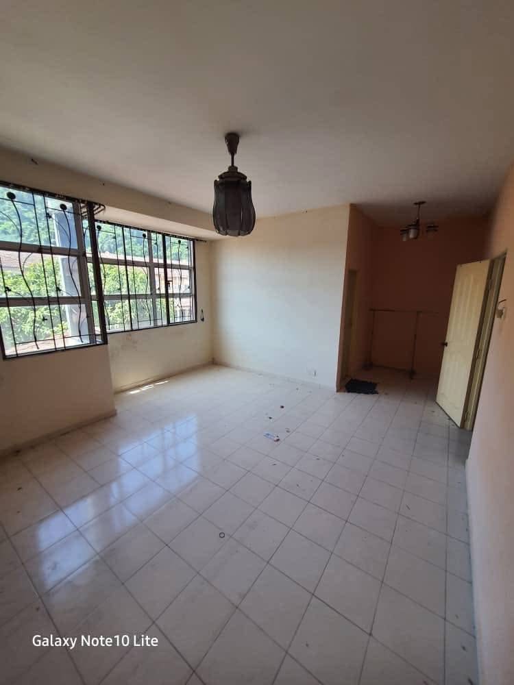 Gunung Lang Double Storey House For Sales image