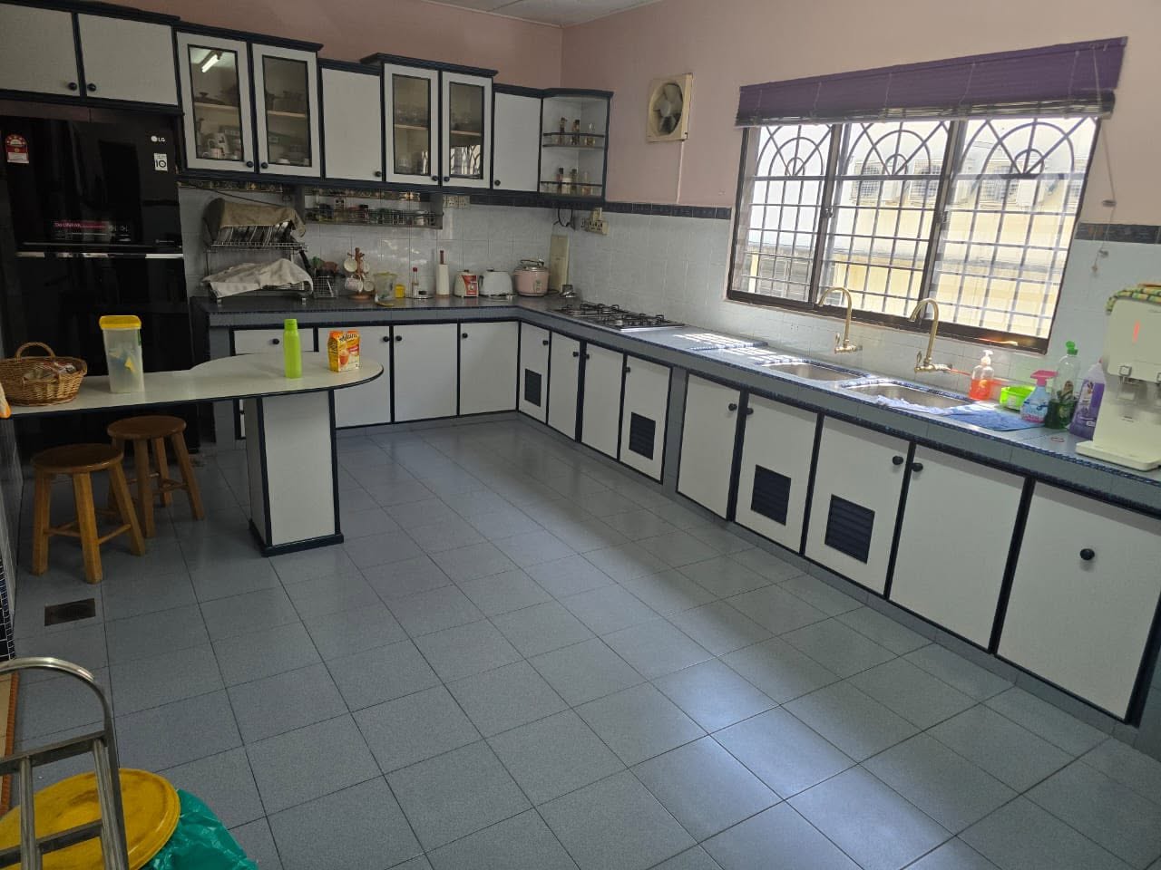 Tasek Double Storey House For Sales image