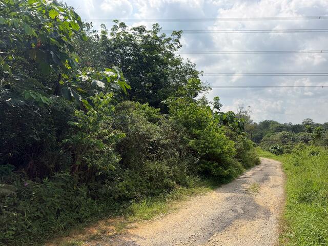 Ulu Tiram Agricultural Land,Johor Bahru,Freehold,Flat Land image