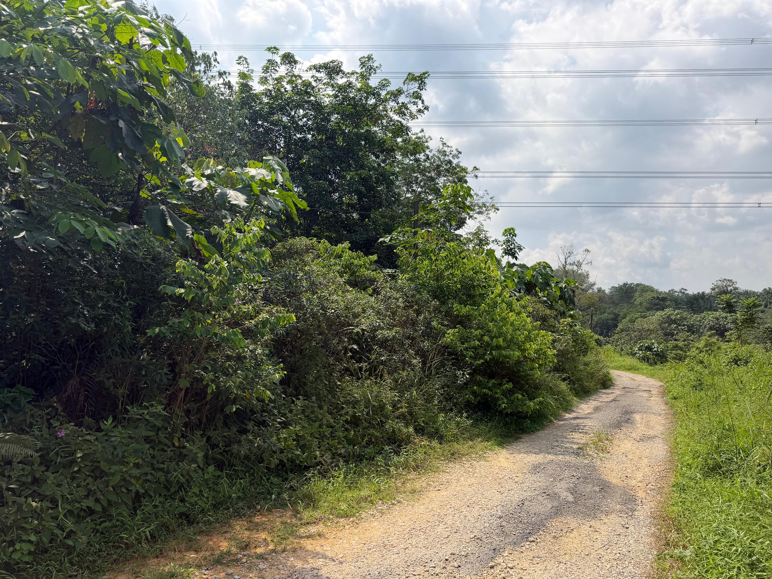 Ulu Tiram Agricultural Land,Johor Bahru,Freehold,Flat Land image