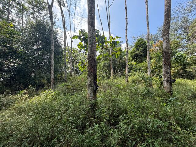 Ulu Tiram Agricultural Land,Johor Bahru,Freehold,Flat Land