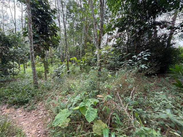 Ulu Tiram Agricultural Land,Johor Bahru,Freehold,Flat Land image
