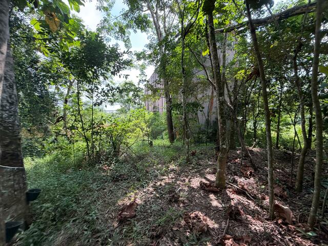 Ulu Tiram Agricultural Land,Johor Bahru,Freehold,Flat Land image