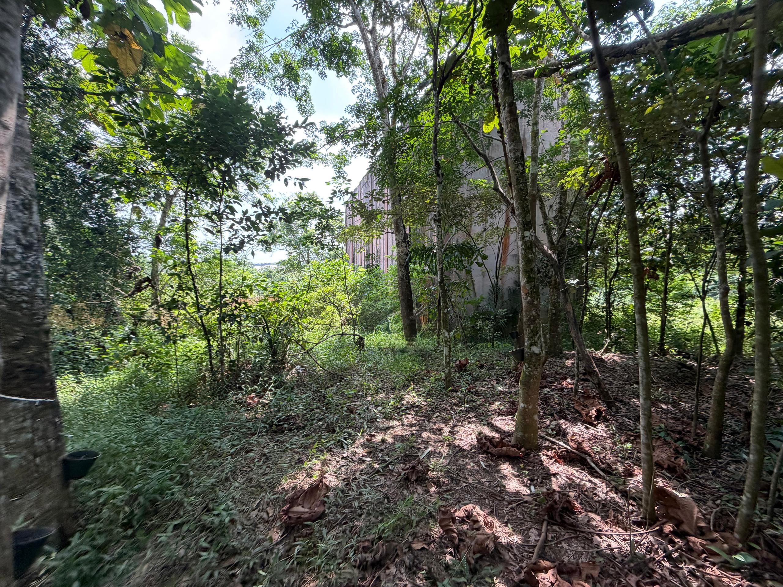 Ulu Tiram Agricultural Land,Johor Bahru,Freehold,Flat Land image