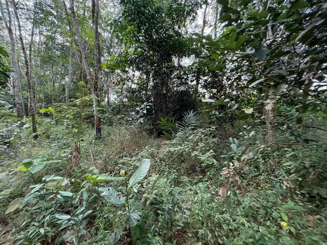 Ulu Tiram Agricultural Land,Johor Bahru,Freehold,Flat Land image