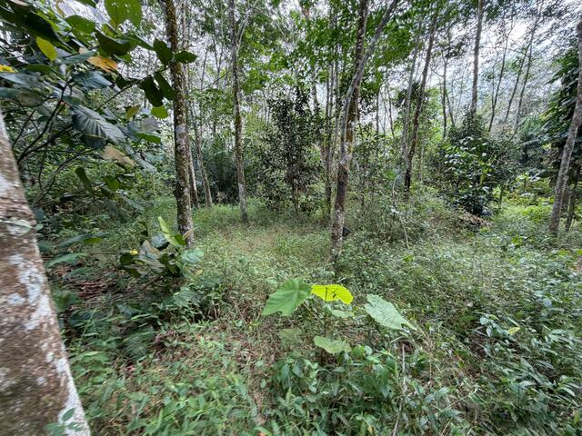 Ulu Tiram Agricultural Land,Johor Bahru,Freehold,Flat Land image