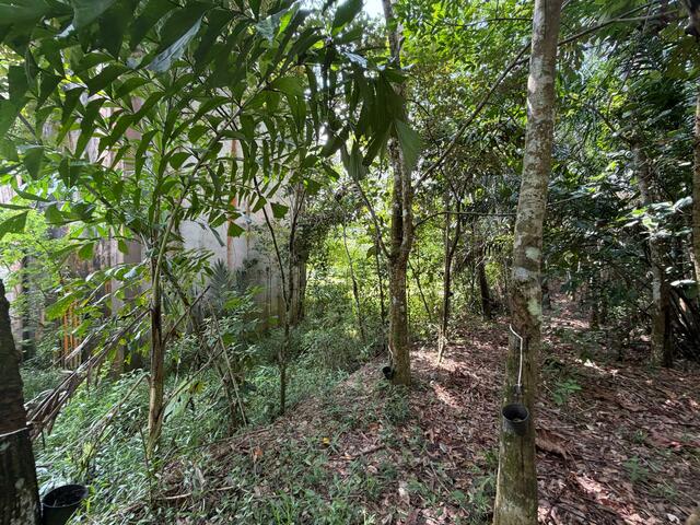 Ulu Tiram Agricultural Land,Johor Bahru,Freehold,Flat Land image