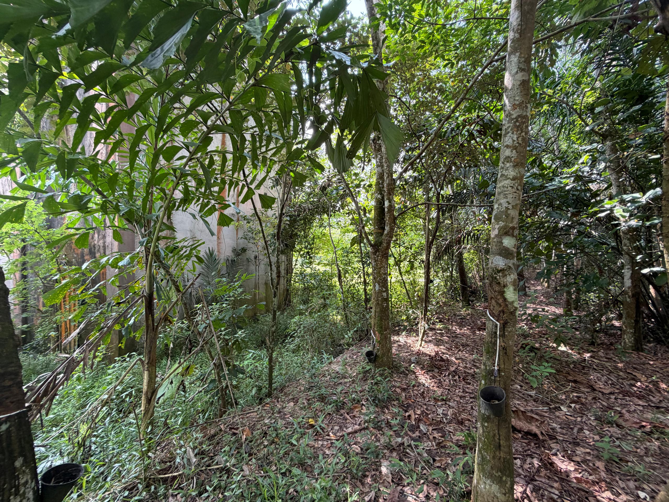 Ulu Tiram Agricultural Land,Johor Bahru,Freehold,Flat Land image