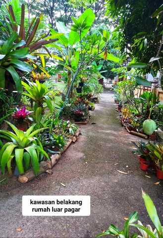 Damai Puspa image