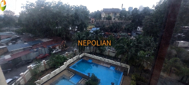 KOI LEGIAN image