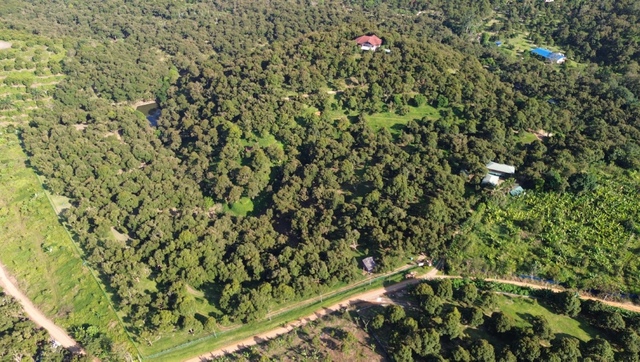 raub durian land for sale image