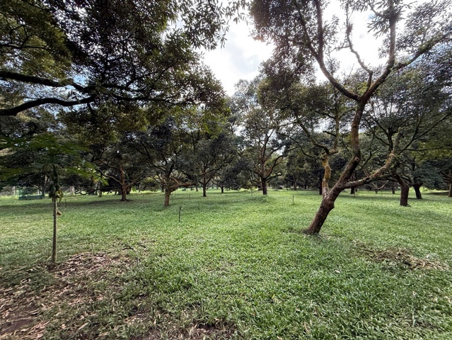 Jalan Tras Raub, 27600 Pahang image